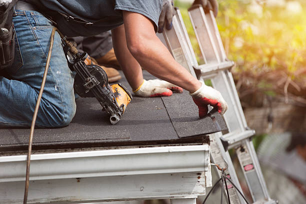 Best Shingle Roofing Installation  in Walker, MI