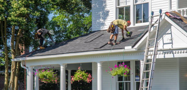 Best Metal Roofing Contractor  in Walker, MI